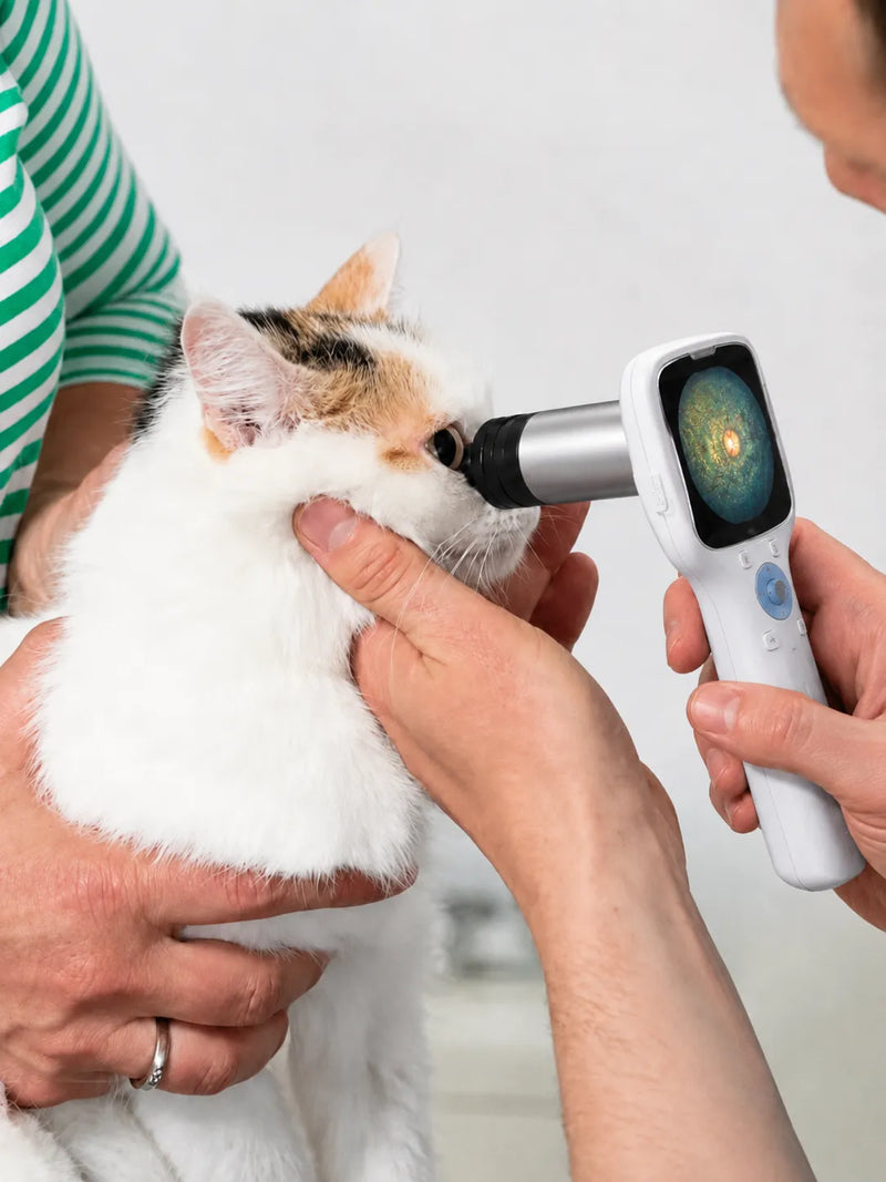 Eye Disease Screening