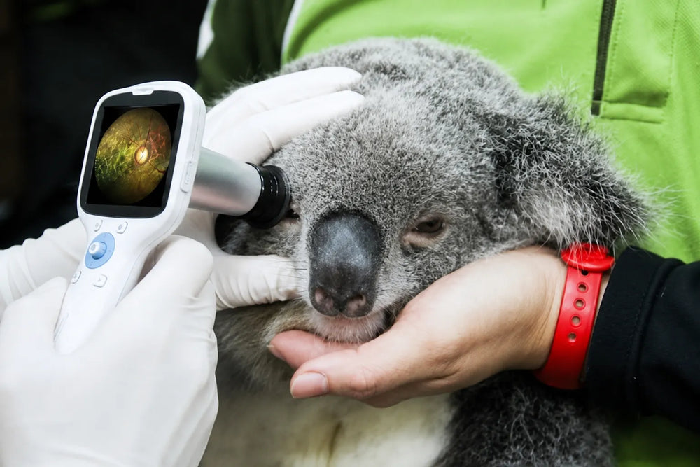 Research & Zoos